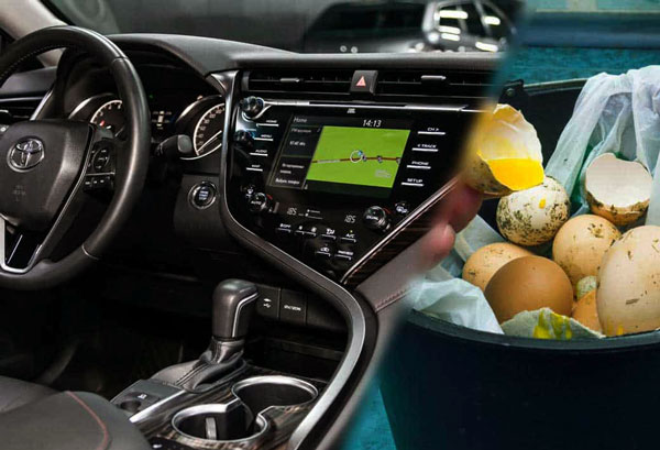 Causes of Your Car Smell Like Rotten Eggs