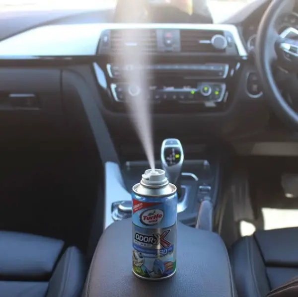 How to Remove Mildew Smell From Your Car