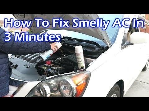 How to Fix Smelly AC in Your Car Like the Pro in 3 Minutes