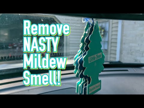 Removing NASTY mildew smell from your car's interior-  Steps, products and tips!