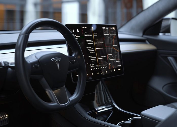 Tesla Software Bugs