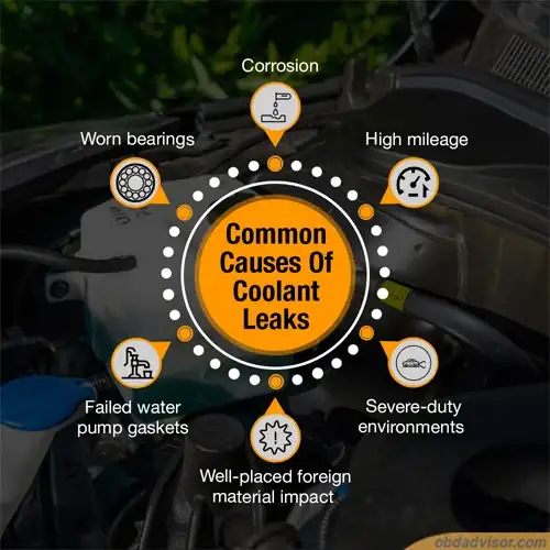 Common Causes of Coolant Leaks